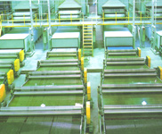 Rubber Thread