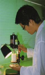 Rubber Thread